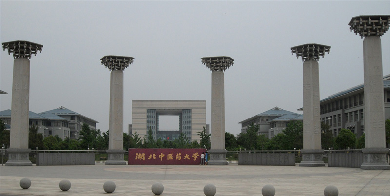 Hubei University of Chinese Medicine-湖北中医药大学 Hubei10