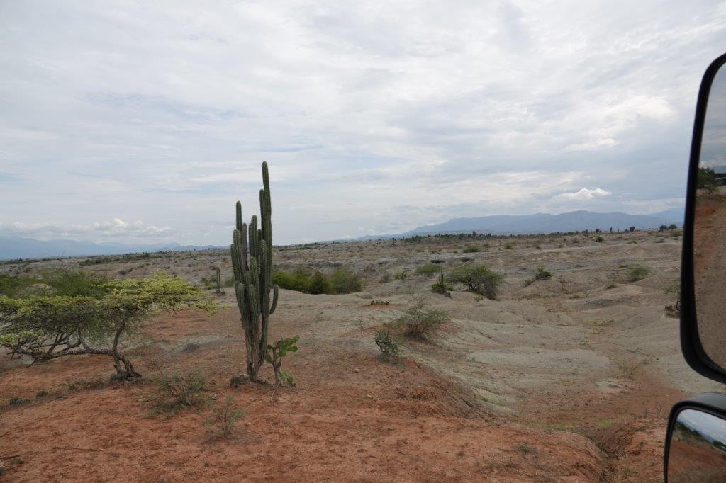 LE DESERT DE TATACOA Dsc01615
