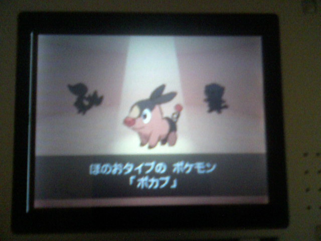 Soluce de pokemon Black et White 2 P26-0613