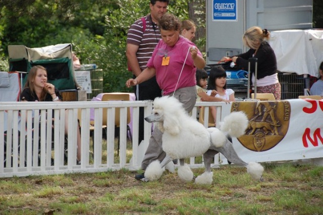 EXPO AVIGNON 1 et 2 octobre 2011 24885010