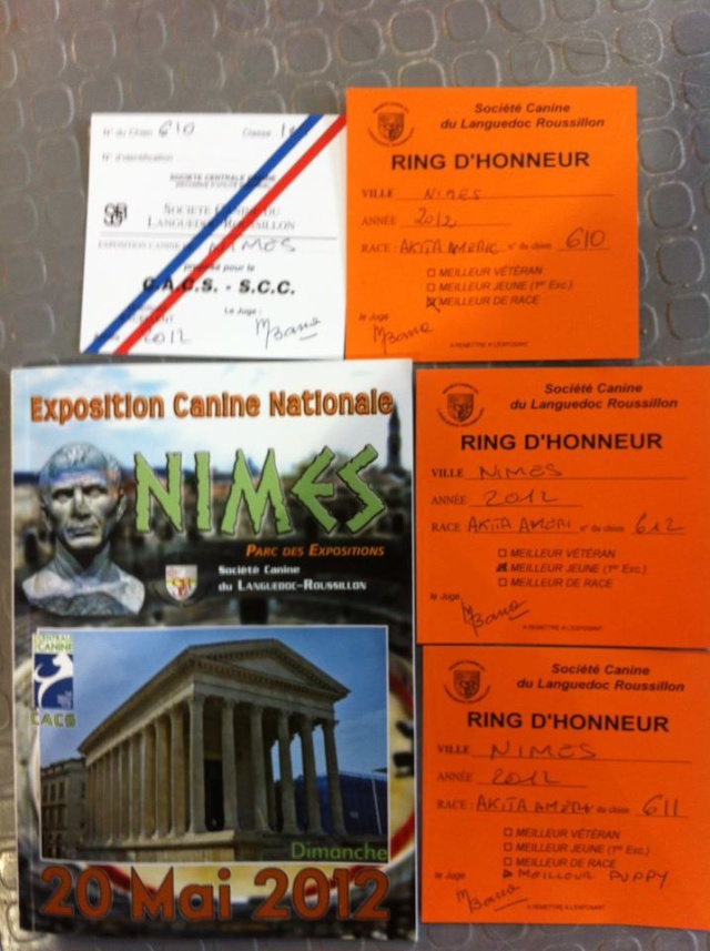 CACS Nîmes 20 mai 2012 - Page 2 Best10