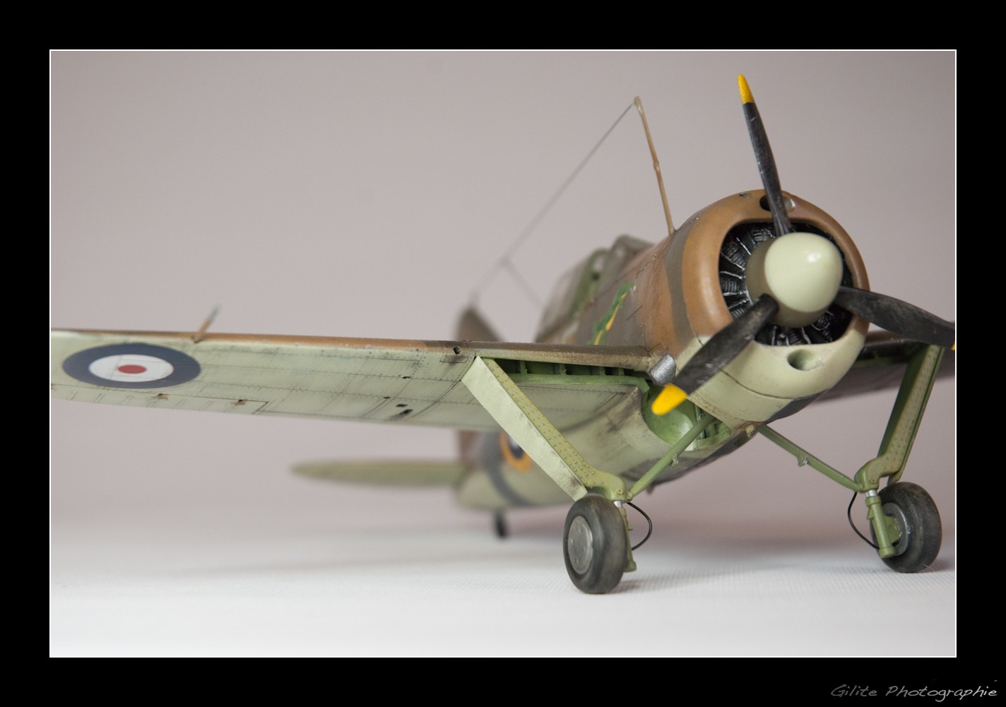 Brewster Buffalo B-339 (Tamiya 1/48) _dsc1421