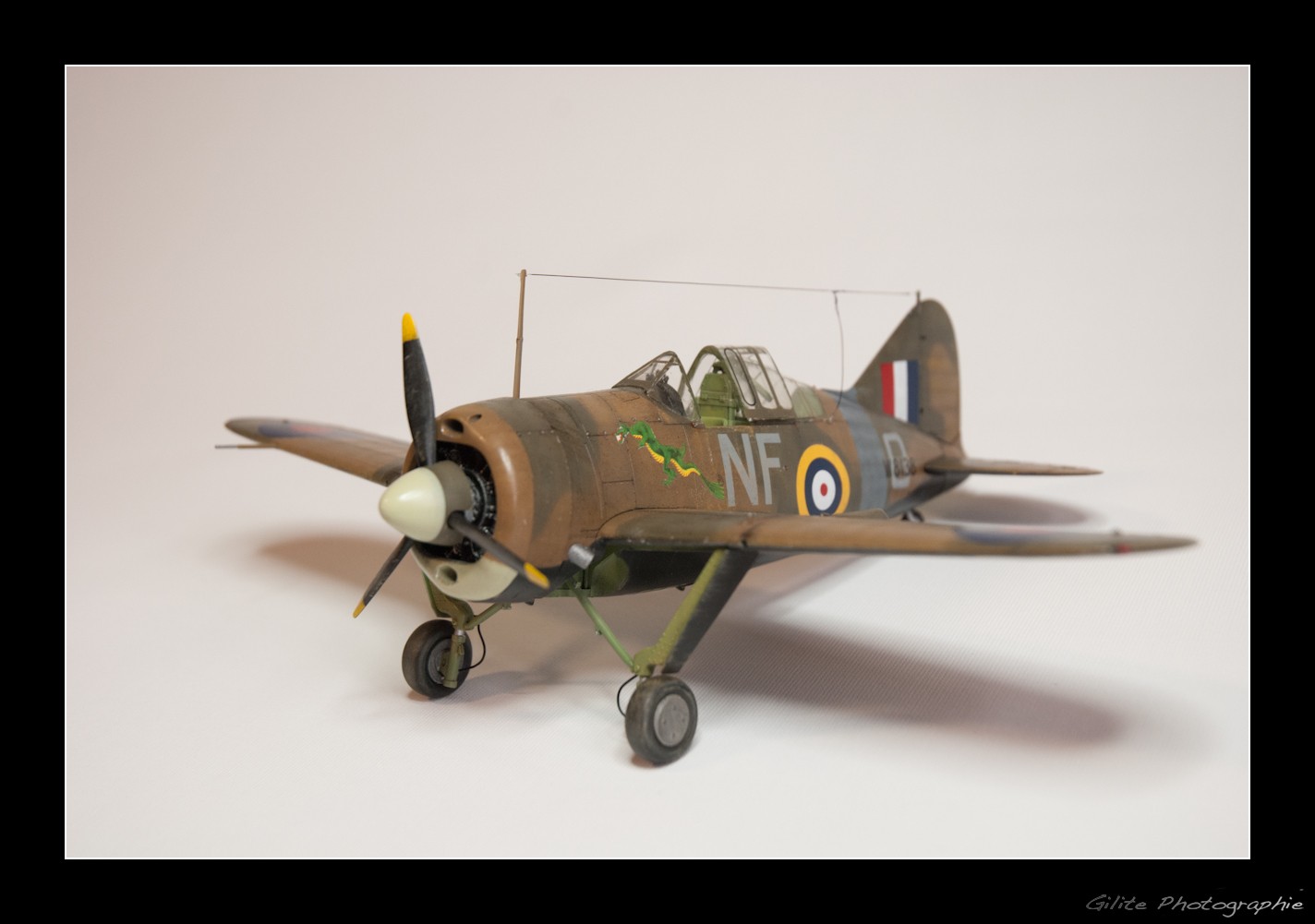 Brewster Buffalo B-339 (Tamiya 1/48) _dsc1422