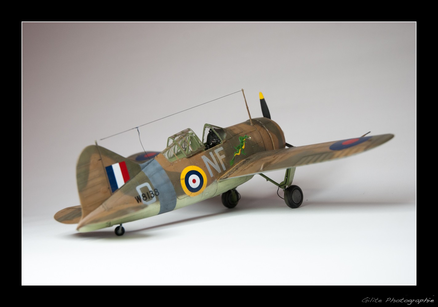 Brewster Buffalo B-339 (Tamiya 1/48) _dsc1513