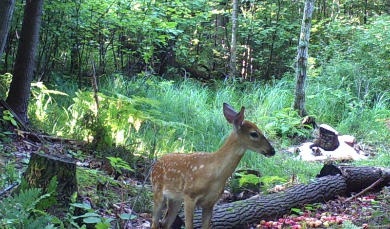 Nos plus belles photos Video_17