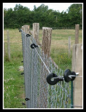 Quelle clôture électrique choisir pour se protéger des renards ? : Lacmé