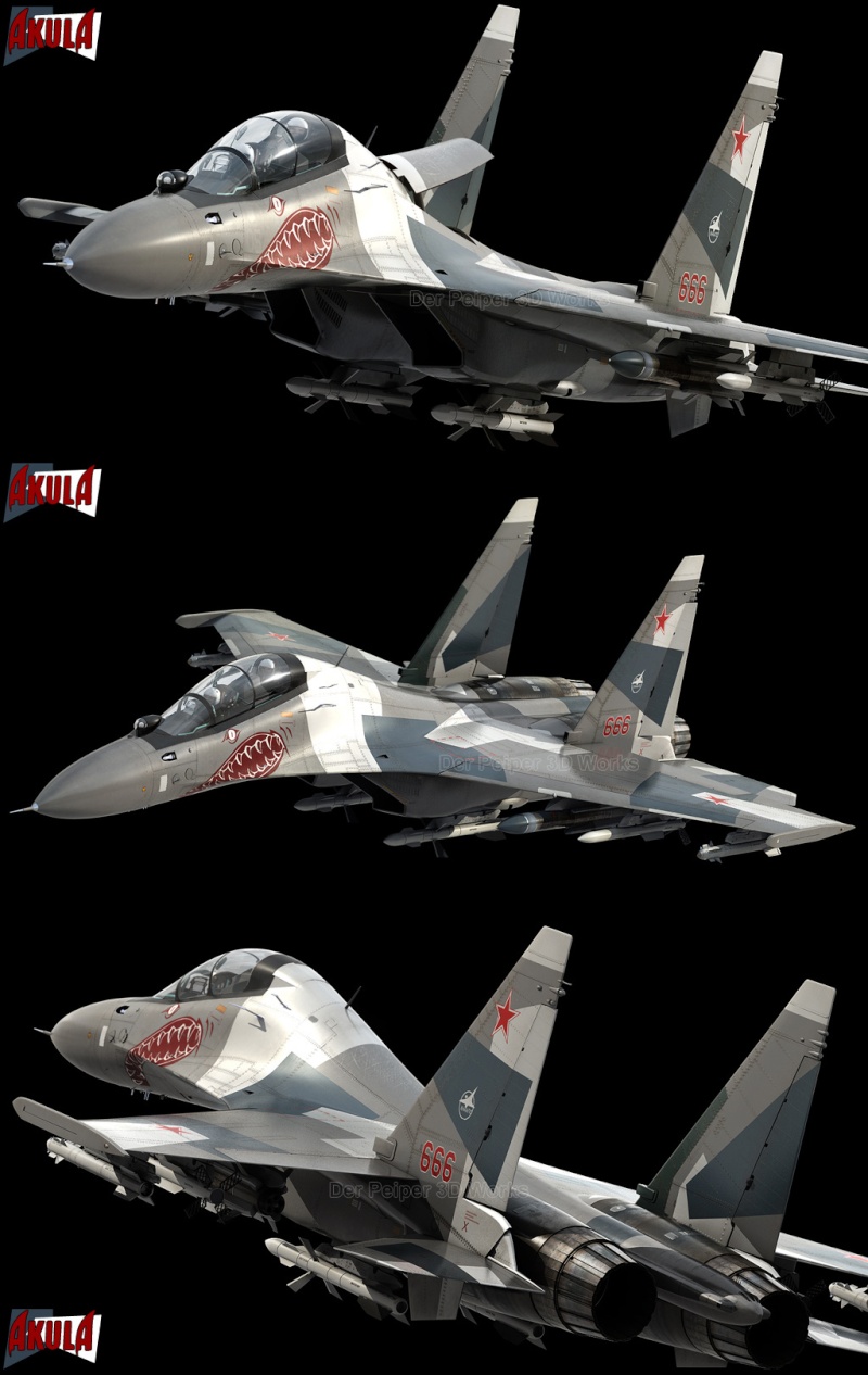 su-27ub, 40 rouge, 941 GvIAP, Kilp-Yavr MAJ [05/11/2013] Su-30m10