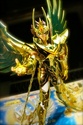 [Novembre 2011] Phoenix Ikki God Cloth (O.C.E.)  - Pagina 6 25548310