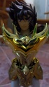 [Novembre 2011] Phoenix Ikki God Cloth (O.C.E.)  - Pagina 6 Image414