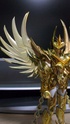 [Novembre 2011] Phoenix Ikki God Cloth (O.C.E.)  - Pagina 6 Image515