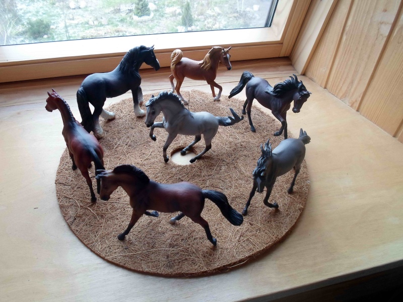 Nice CollectA Horses 2011-2012 has broke my heart! ;) Sam_2110