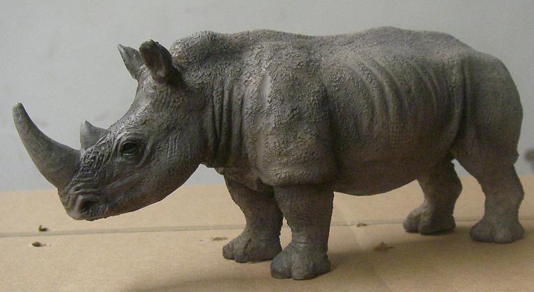 Presentatiohn: Mojo 2012 - white rhinoceros White_10