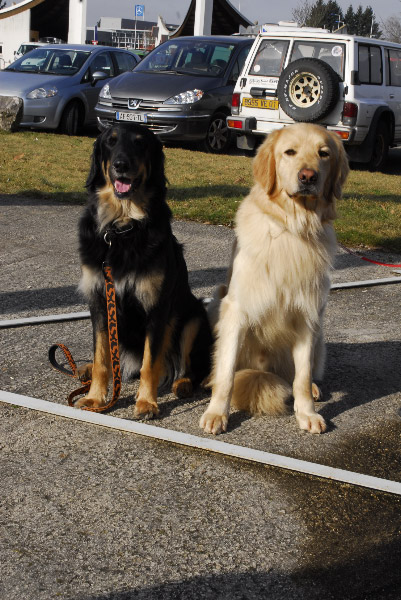 SPECIALE BOURG EN BRESSE 2012 _dsc0113