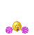 perles d'eau - résultats Pompom11