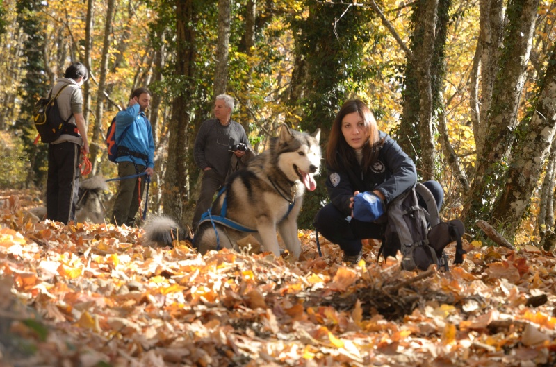 Dog trekking - Lago di Vico - Pagina 3 0063310