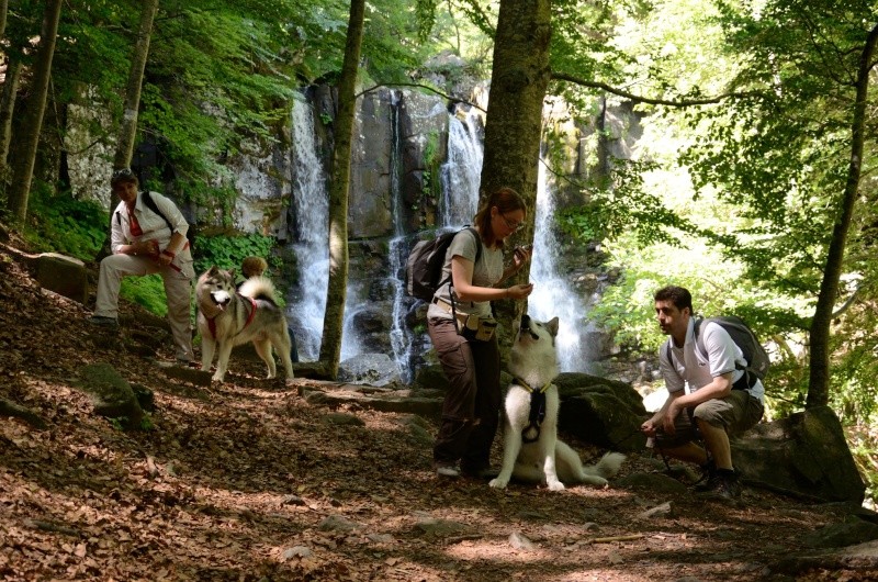 Dog-trekking sull'Appennino Tosco-emiliano Dardag10