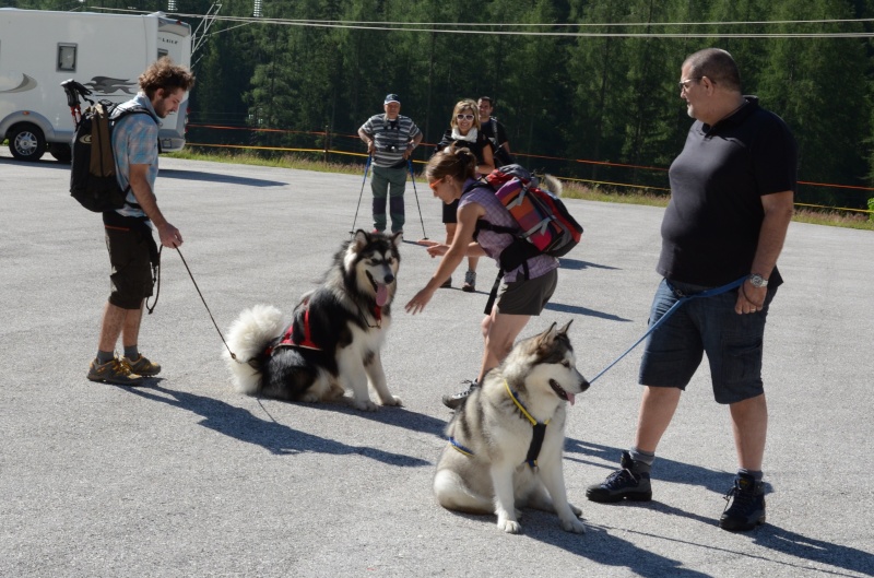Dog-Trekking sulle Dolomiti 9 e 10 luglio!!! - Pagina 4 Seram_10