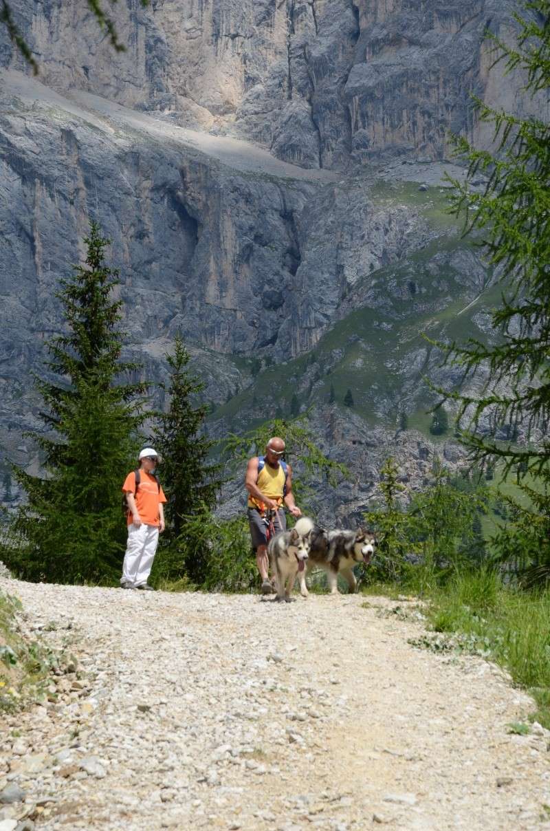 Dog-Trekking sulle Dolomiti 9 e 10 luglio!!! - Pagina 4 Seram_14