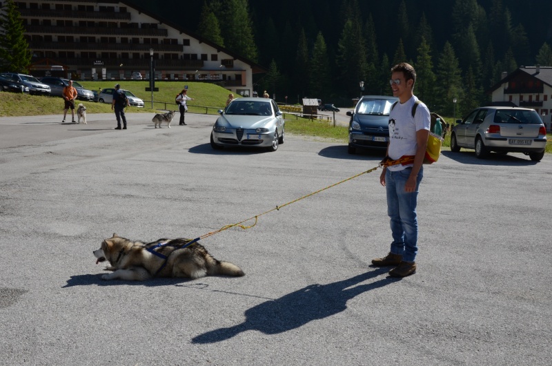 Dog-Trekking sulle Dolomiti 9 e 10 luglio!!! - Pagina 4 Seram_19
