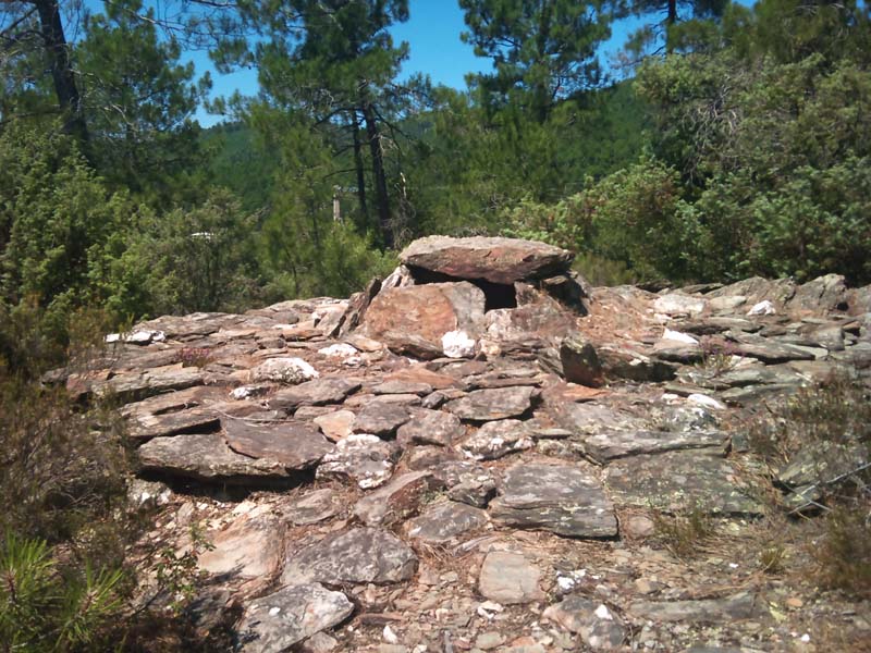 megalithes dans le Gard.. Dsc_0321