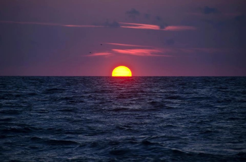 les plus belle photos de couchers de soleil - Page 2 39475510