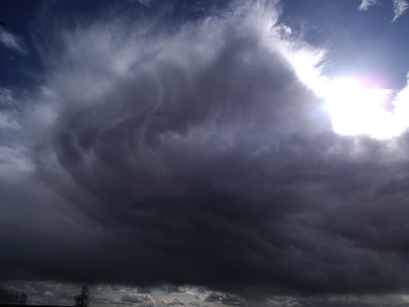 Les Nuages selon moi  Dscf3512