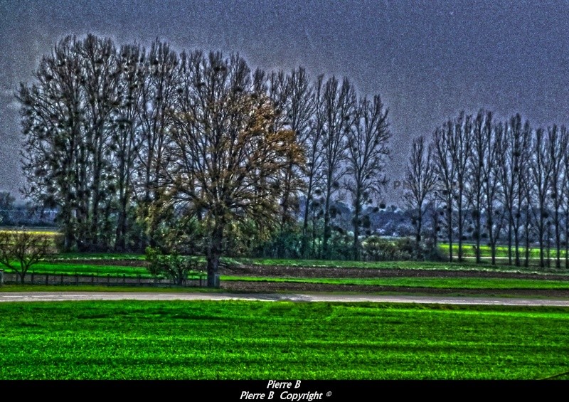 Essai Photomatix Photo_11