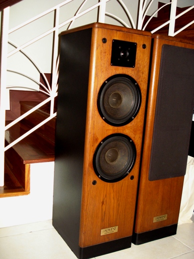 Advent Heritage Tower speakers (Used) Dsc04017