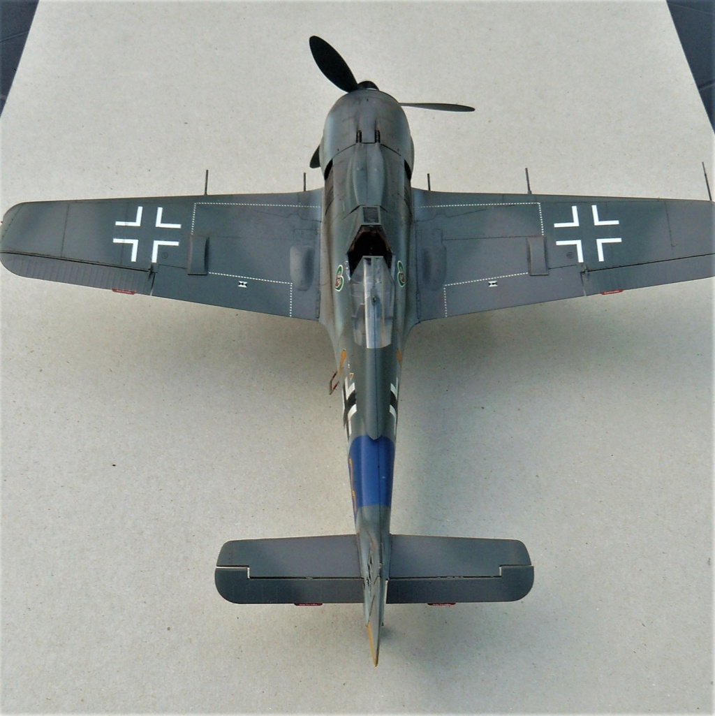 Focke-Wulf 190 A8 hasegawa  1/32 P1050745