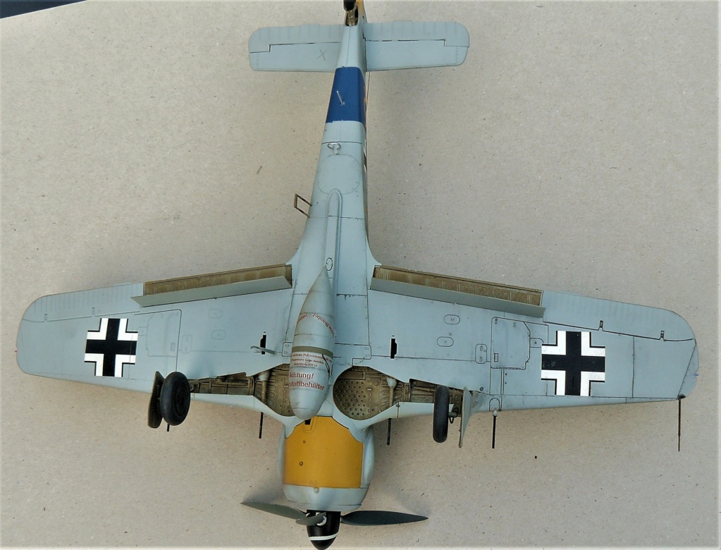 Focke-Wulf 190 A8 hasegawa  1/32 P1050747