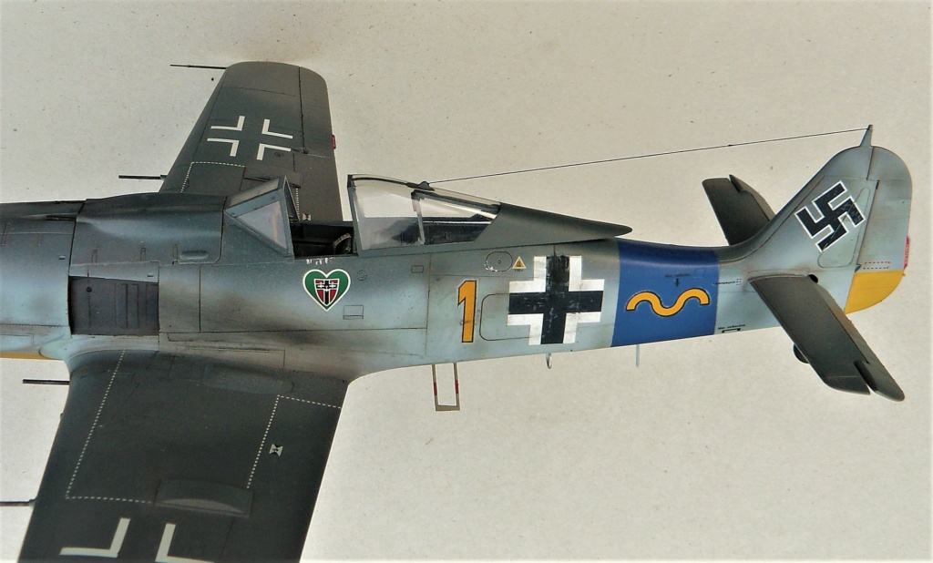 Focke-Wulf 190 A8 hasegawa  1/32 P1050750