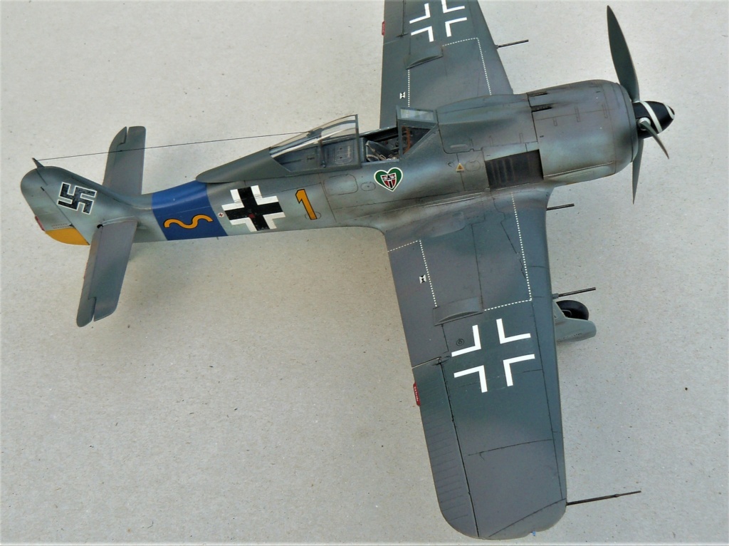 Focke-Wulf 190 A8 hasegawa  1/32 P1050751