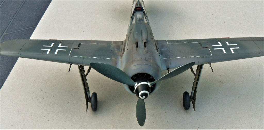 Focke-Wulf 190 A8 hasegawa  1/32 P1050752
