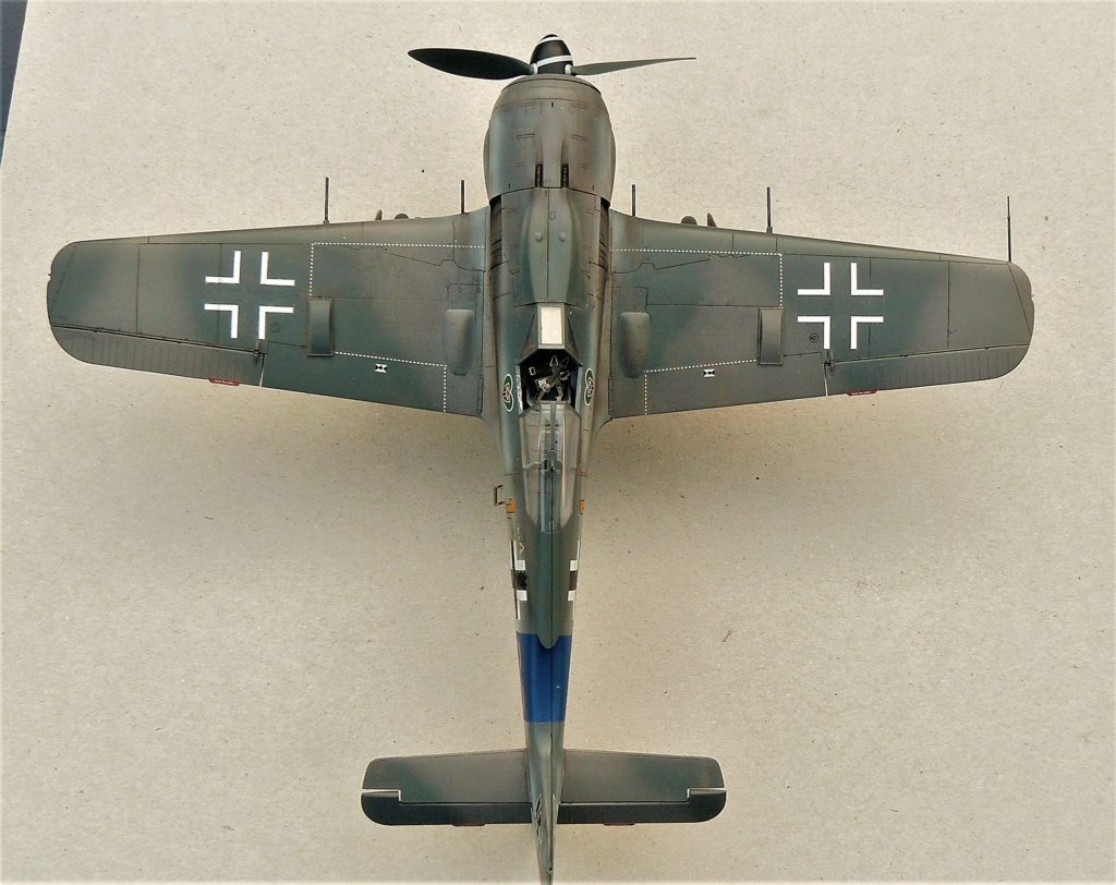 Focke-Wulf 190 A8 hasegawa  1/32 P1050753