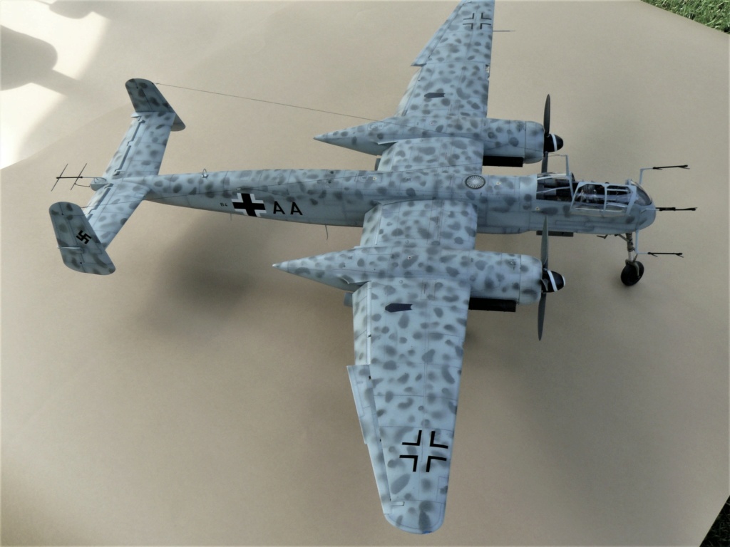 [Revell] Heinkel He 219 UHU 1/32  (he219) P1050767