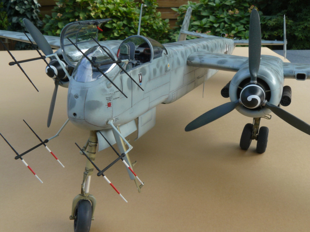 [Revell] Heinkel He 219 UHU 1/32  (he219) P1050773