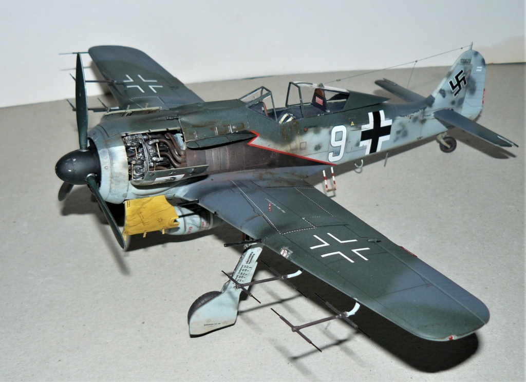 [Revell] 1/32 - Focke-Wulf Fw 190 F-8 - 6./SG 10    (fw190) P1050843