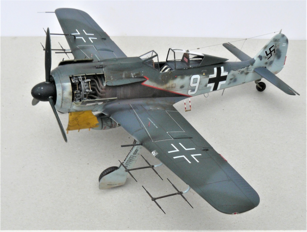 [Revell] 1/72 - Focke-Wulf Fw 190 A-8/R-11 / Allemagne 1944  (fw190) P1050844