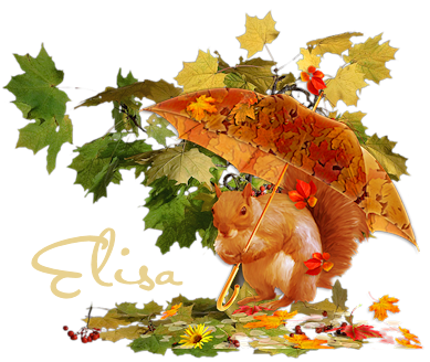 signature mordus automne 2020 Elisa11