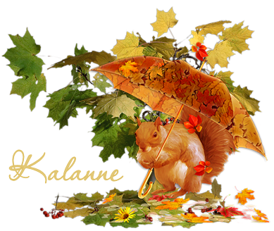 Signature Automne 2018 Kalann10