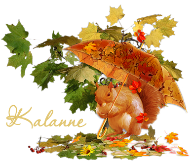 Signature automne 2020 Kalann11