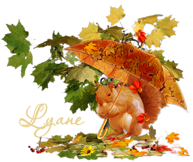 Signature automne 2020 Lyane10