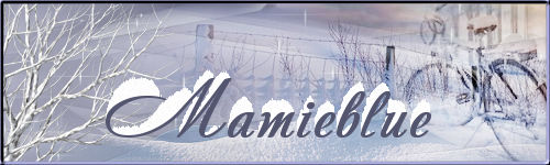 2022 - signature hiver 2022 Mamieb17