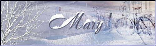 2022 - signature hiver 2022 Mary19