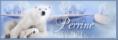 signature hiver 2019 Perrin10