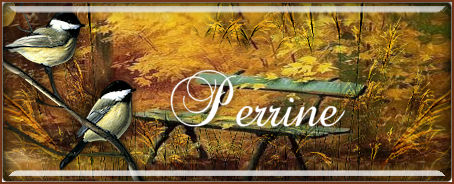 signature automne 2023 Perrin15