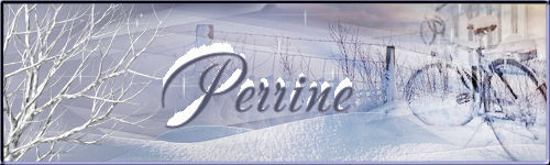 Signature hiver 2024 Perrin17