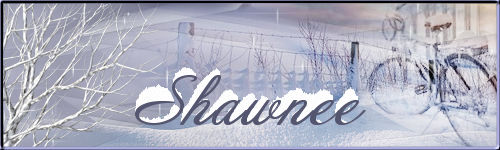 Signature hiver 2024 Shawne14