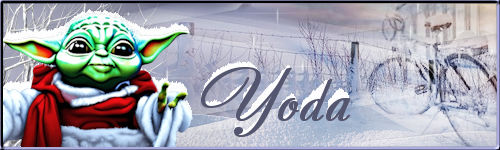 signature hiver 2022 Yoda14