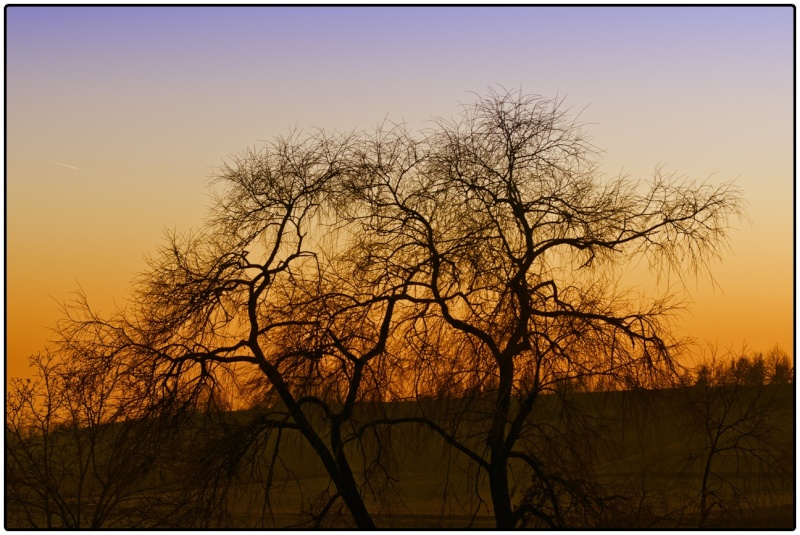 ombre e tramonti sul lago arignano Dsc_1710
